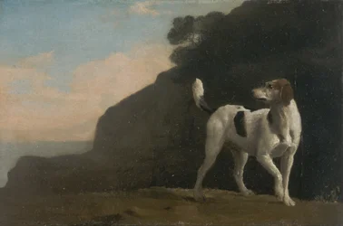 Fuchshund